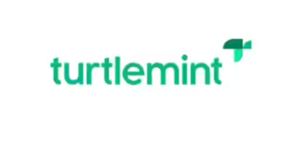 Turtlemint Fintech Solutions IPO